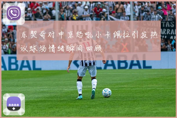 东契奇对申京怒吼小卡佩拉引发热议球场情绪瞬间回顾